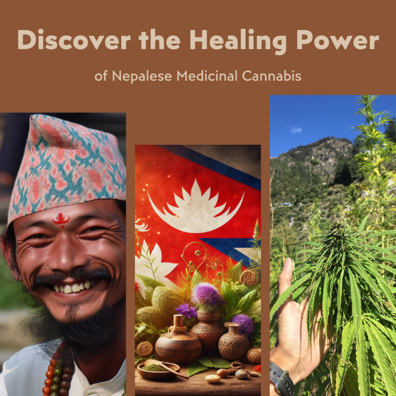 medicinal cannabis in Nepal